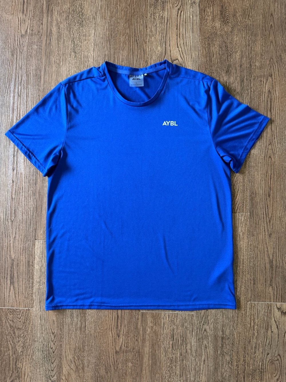 AYBL Men's Performance Tee in Royal Blue, Size Large